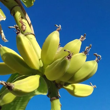Naranja Con Piscina Urb El Paraiso * Torrevieja