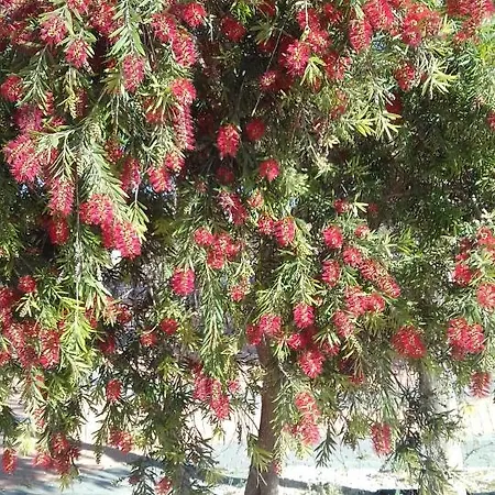 Apartment Naranja Con Piscina Urb El Paraiso Torrevieja