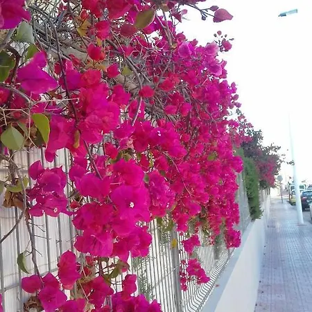 Naranja Con Piscina Urb El Paraiso