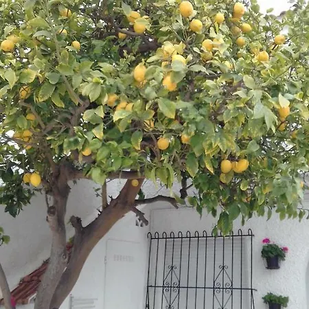 Naranja Con Piscina Urb El Paraiso